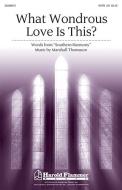 What Wondrous Love Is This? 
