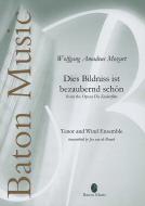 Dies Bildnis ist bezaubernd schön Download