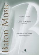 Core 'n Grato Catari, Catari Download