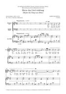 Bevor das Lied verklang 