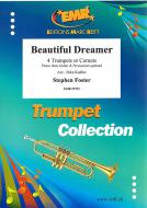 Beautiful Dreamer Download