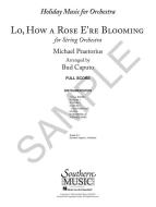 Lo, How A Rose E're Blooming 