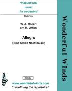 Allegro Download