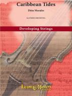 Caribbean Tides 