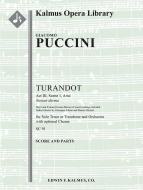 Turandot: Act III, Scene 1, Aria: Nessun dorma (short and extend concert endings) 