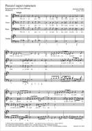Peccavi super numerum Standard