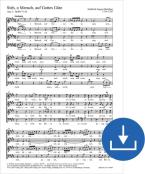Sieh, oh Mensch, auf Gottes Güte HoWV V.58 Download
