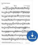 Das Tal des Espingo op. 50 Download