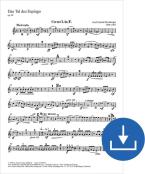 Das Tal des Espingo op. 50 