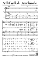 Schlaf wohl, du Himmelsknabe 