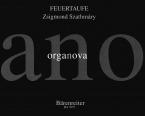 Feuertaufe Standard