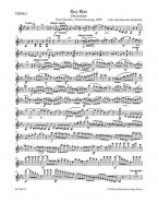 Ruy Blas op. 95 