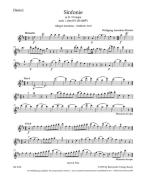 Sinfonie D-Dur nach der Serenade KV 250 (248b) 