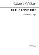 As The Apple Tree 