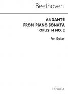 Andante For Guitar 
