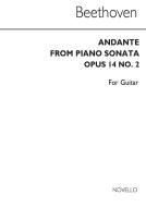 Andante For Guitar 