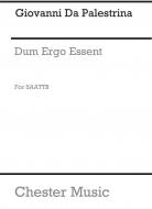Dum Ergo Essent 