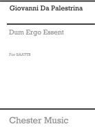 Dum Ergo Essent 