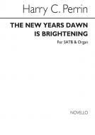 The New Year's Dawn Is Brightening 