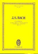 Cantata No. 55 (Dominica 22 Post Trinitatis) BWV 55 