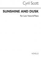 Sunshine and Dusk 