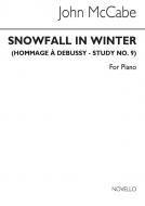 Snowfall in Winter 