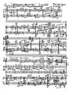 Echo-Zone I-III 