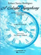 A Colorful Symphony 