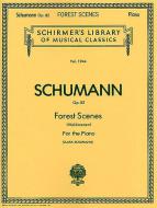 Forest Scenes 