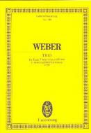 Trio G Minor Op. 63 J 259 