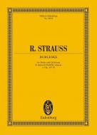 Burlesque D minor Standard