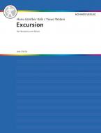 Excursion Standard