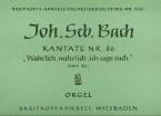 Wahrlich, wahrlich, ich sage euch 