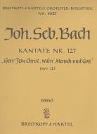 Herr Jesu Christ, wahr' Mensch und Gott 