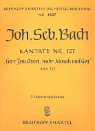 Herr Jesu Christ, wahr' Mensch und Gott 