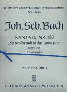 Sie werden euch in den Bann tun 