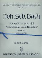Sie werden euch in den Bann tun 