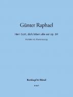 Herr Gott, dich loben alle wir op. 84 