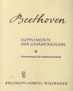 Kammermusik für Streichinstrumente 