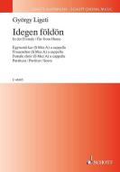 Igeden földön Standard