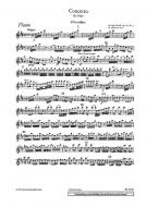 Concerto D major op. 10/3 RV 428/PV 155 Standard