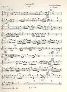 Concerto E Minor 