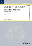 La Flûte à bec alto Vol. 2 