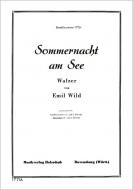 Sommernacht am See 