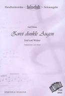 Zwei dunkle Augen 