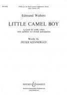 Little Camel Boy 