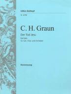 Der Tod Jesu 