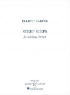 Steep Steps 