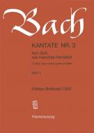 O God, How Many Pains Of Heart BWV 3 