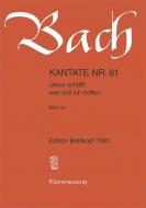 Jesus Schlaeft, Was Soll Ich Hoffen BWV 81 